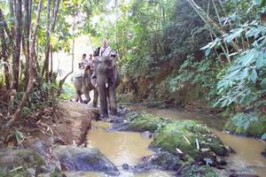 ... und mit anderen Verkehrsmitteln auf der Nachtour